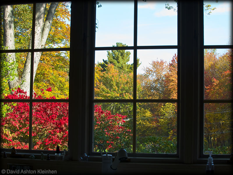 View from our kitchen window in October
